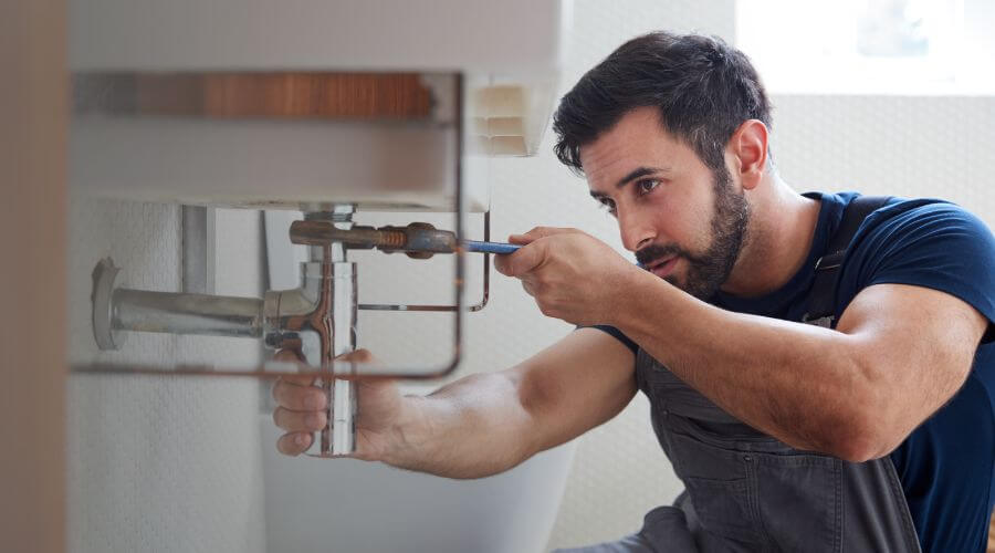 Trap Repair/Replacement in Keego Harbor, MI